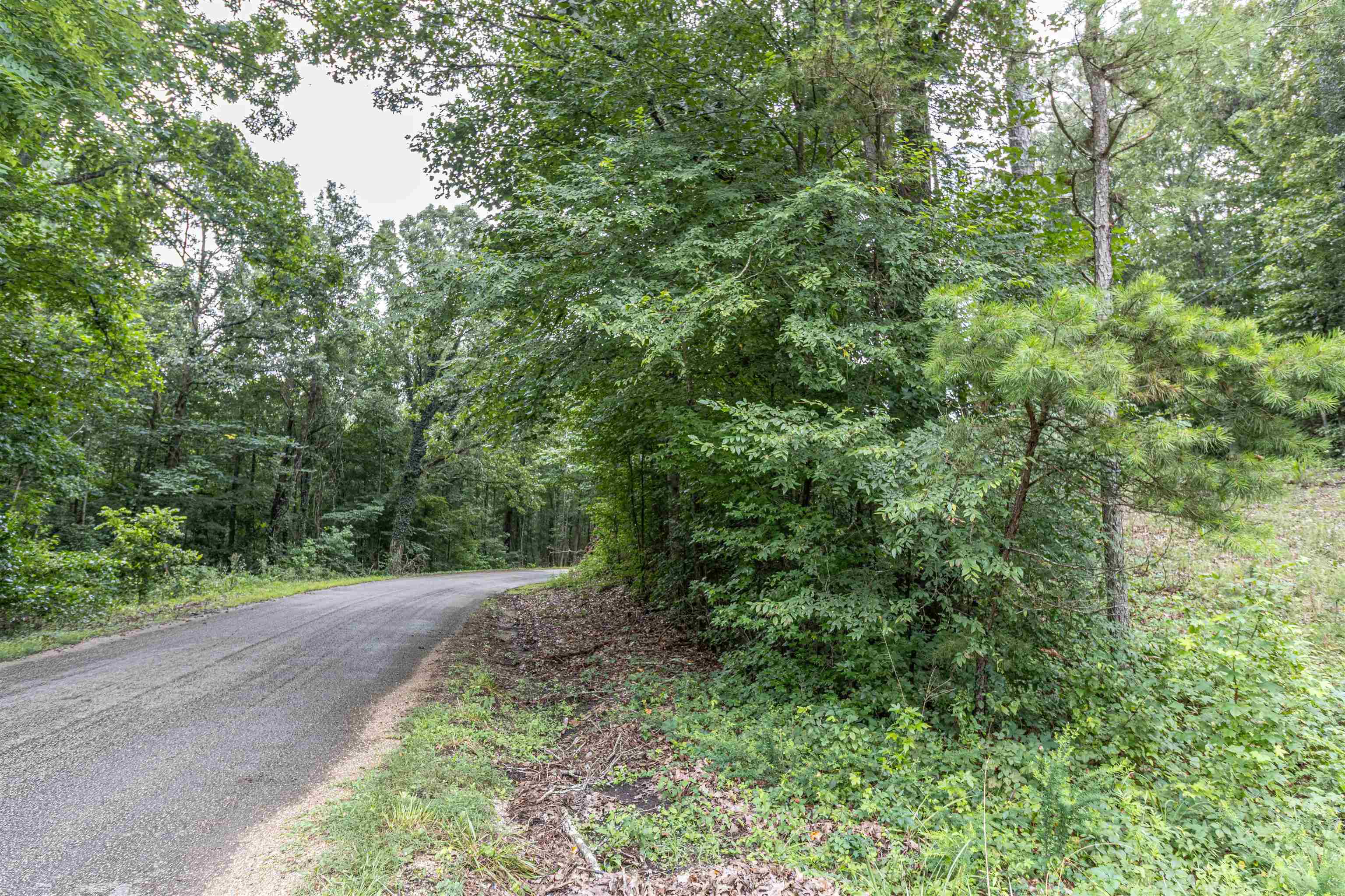 1386 C Elvin Weeks Road Bethel Springs, TN 38315 - Photo 10 of 11
