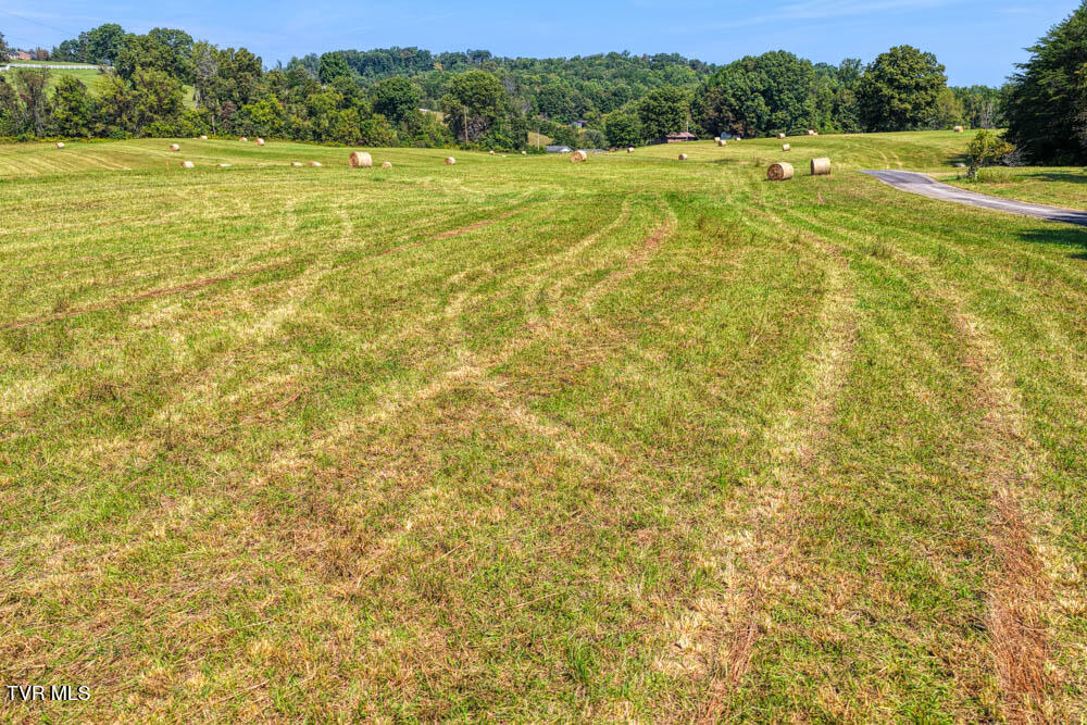 Lot 10 Rameytown Road Church Hill, TN 37642 - Photo 24 of 43 Magnolia MLSa (22 of 41)