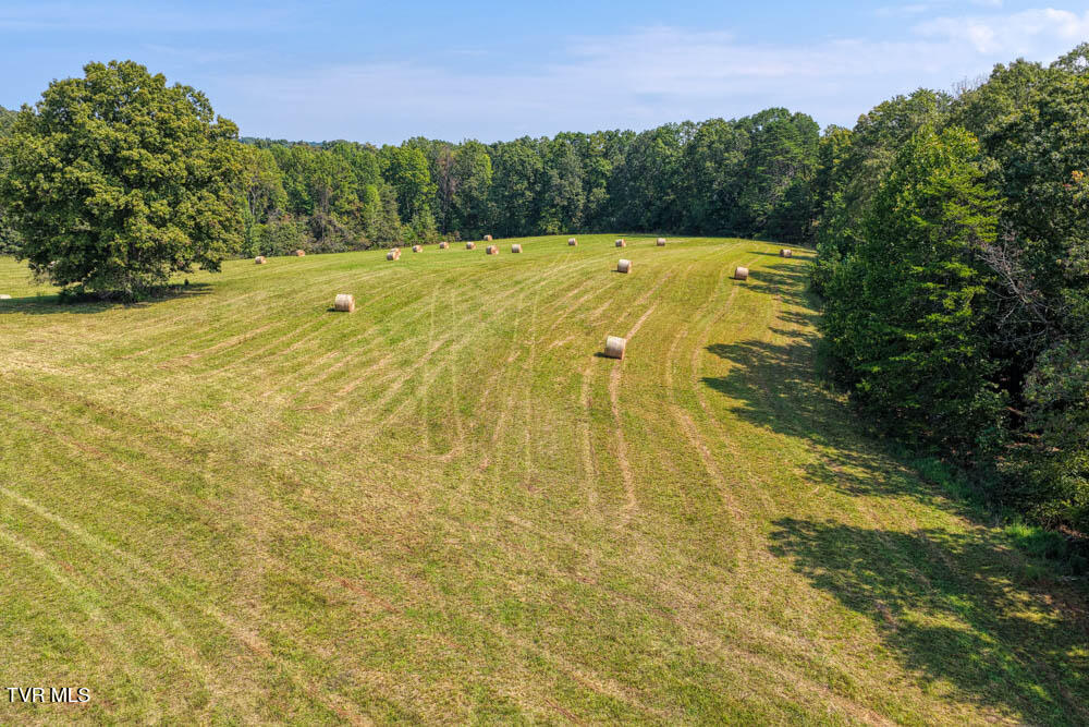 Lot 10 Rameytown Road Church Hill, TN 37642 - Photo 31 of 43 Magnolia MLSa (29 of 41)
