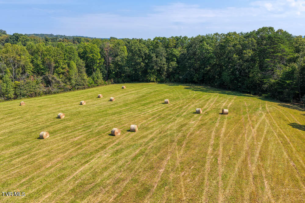 Lot 10 Rameytown Road Church Hill, TN 37642 - Photo 32 of 43 Magnolia MLSa (30 of 41)