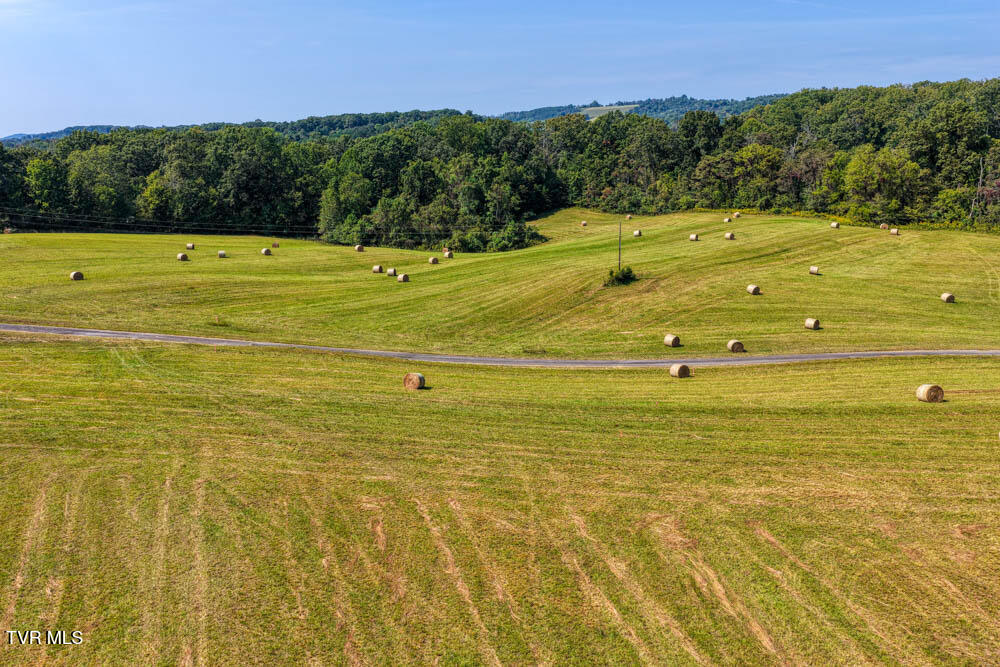 Lot 10 Rameytown Road Church Hill, TN 37642 - Photo 33 of 43 Magnolia MLSa (31 of 41)