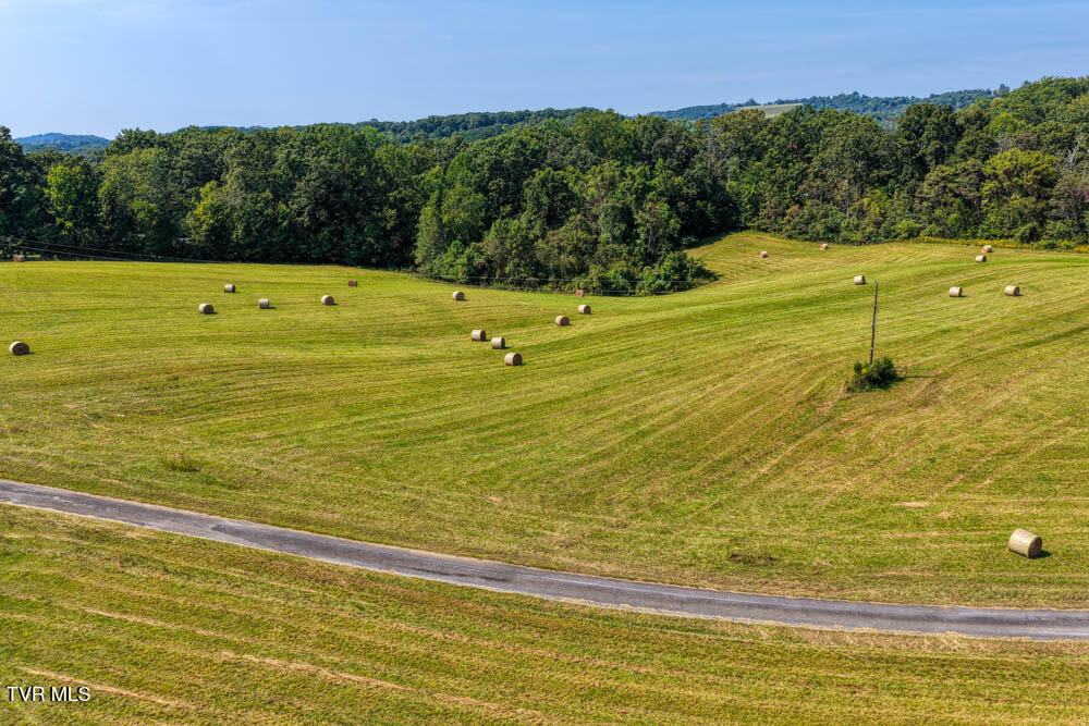 Lot 10 Rameytown Road Church Hill, TN 37642 - Photo 34 of 43 Magnolia MLSa (32 of 41)