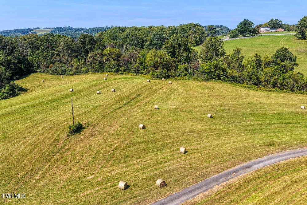 Lot 10 Rameytown Road Church Hill, TN 37642 - Photo 35 of 43 Magnolia MLSa (33 of 41)