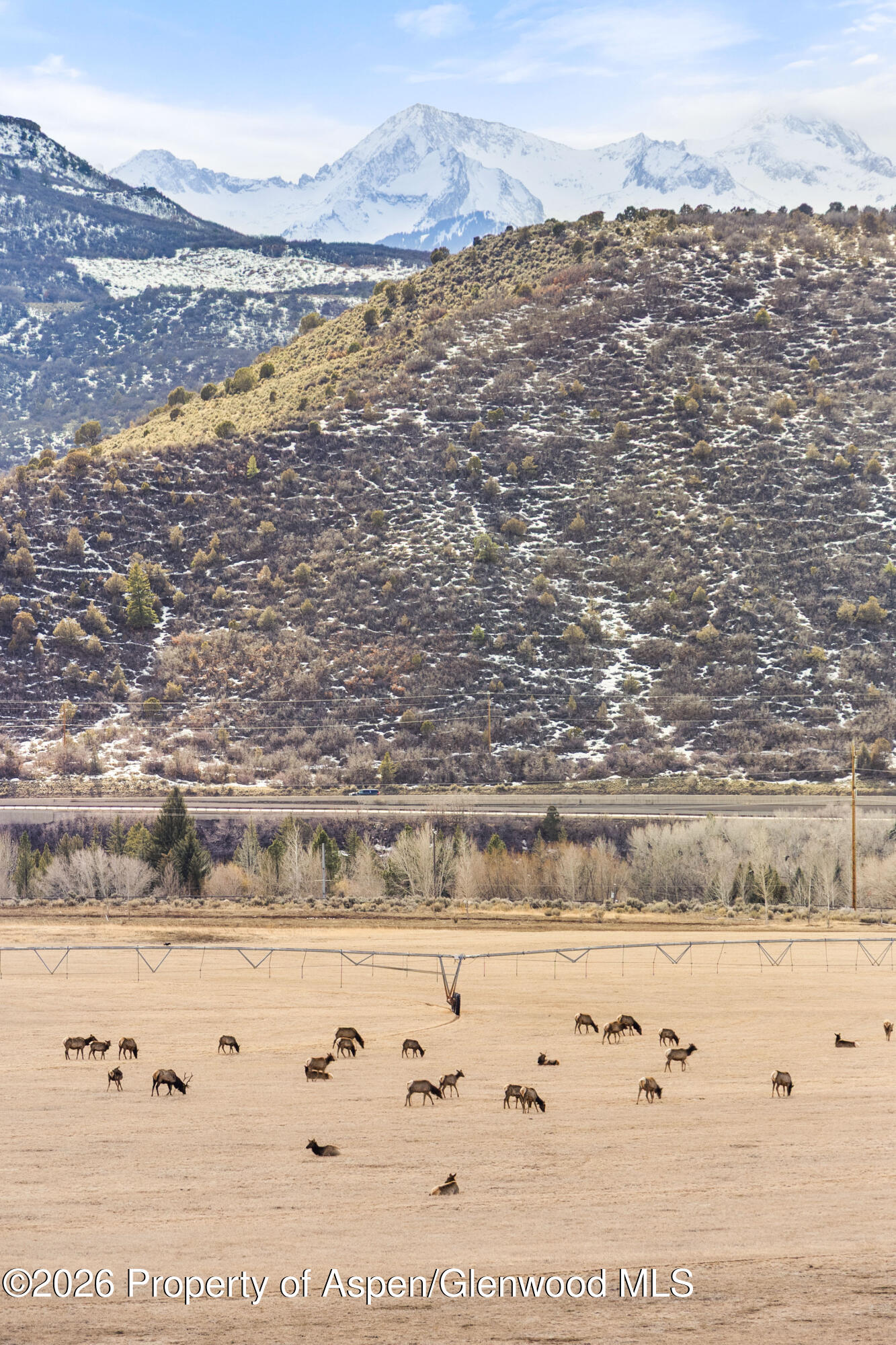 31 Aspen Valley Ranch Road Woody Creek, CO 81656 - Photo 24 of 63 Primary View