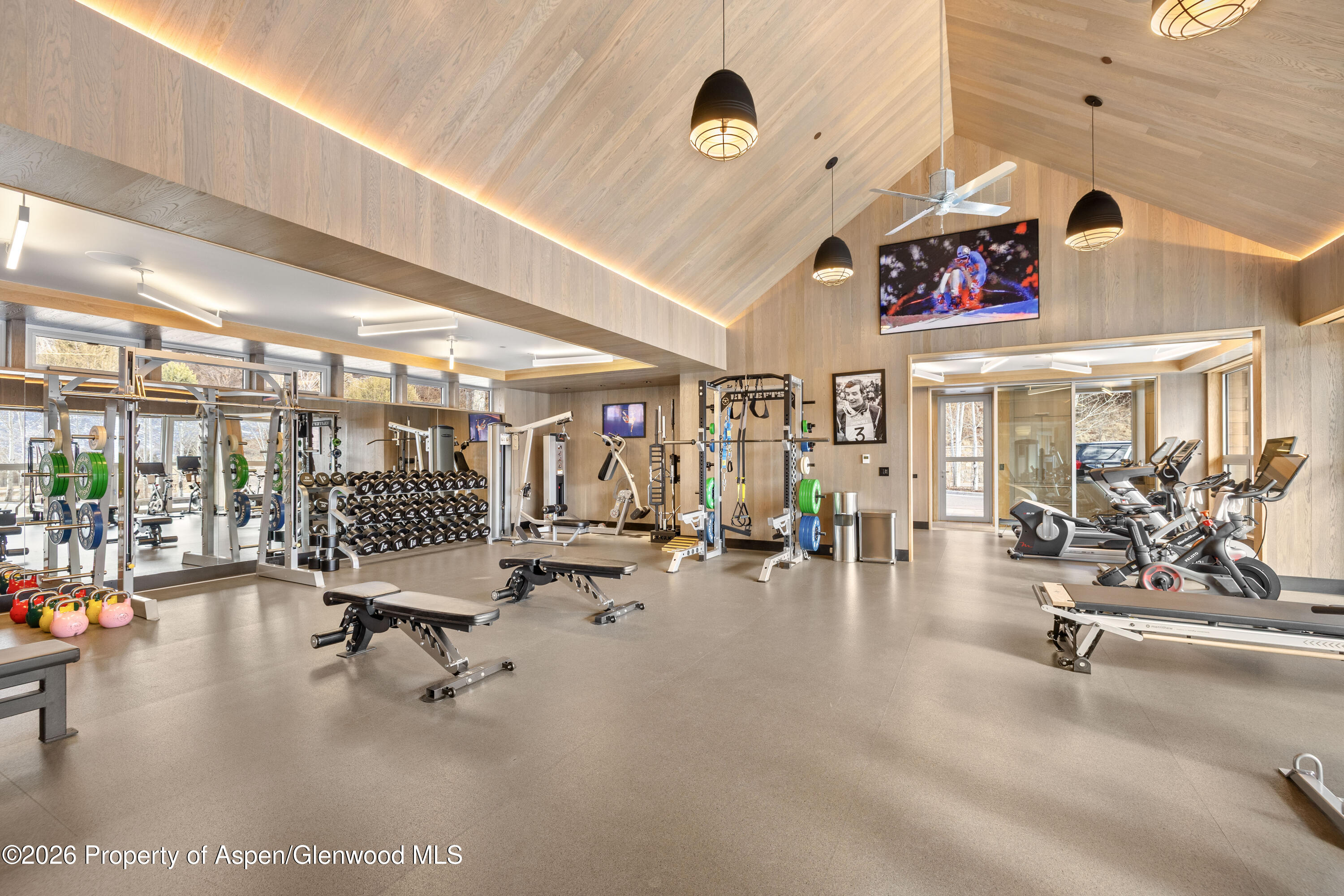 31 Aspen Valley Ranch Road Woody Creek, CO 81656 - Photo 61 of 63 Community Gym