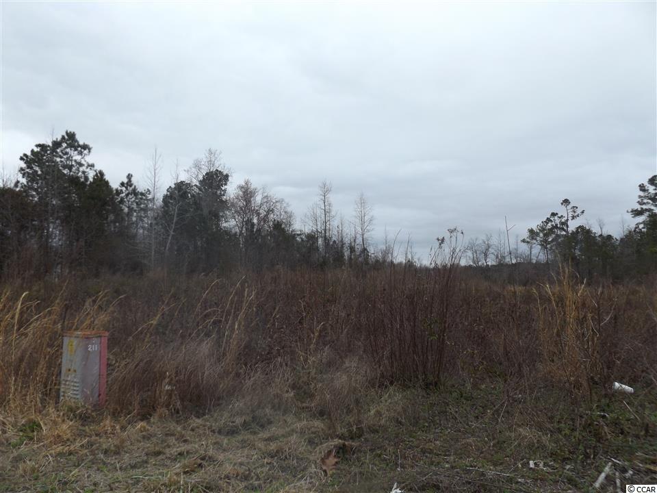 Tbd Kerl Road Conway, SC 29526 - Photo 1 of 14 Gallery Image 1