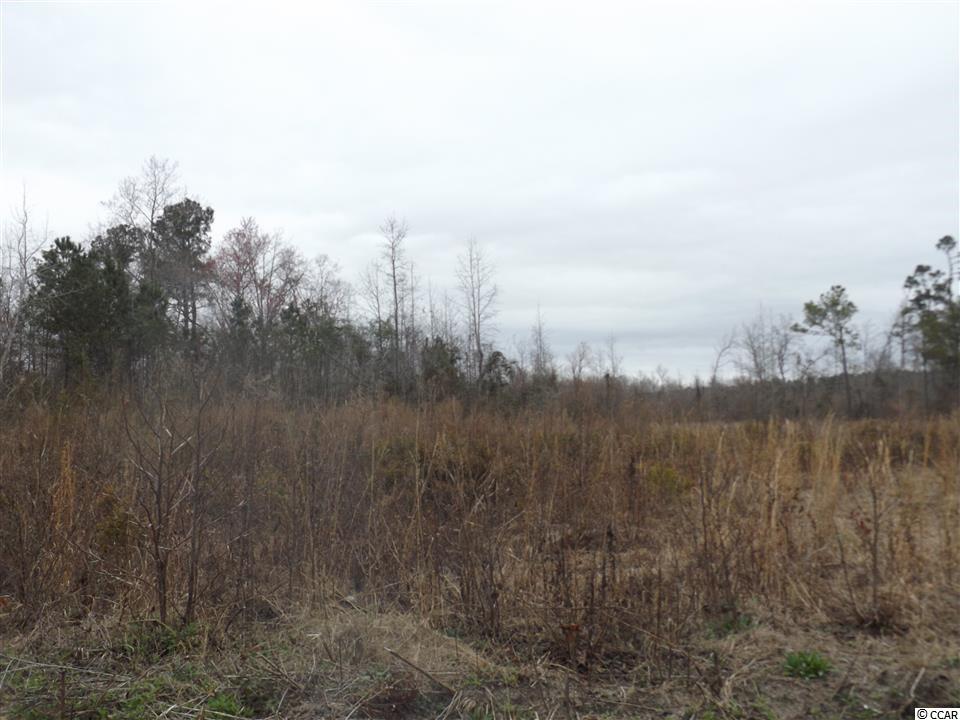 Tbd Kerl Road Conway, SC 29526 - Photo 2 of 14 Gallery Image 2