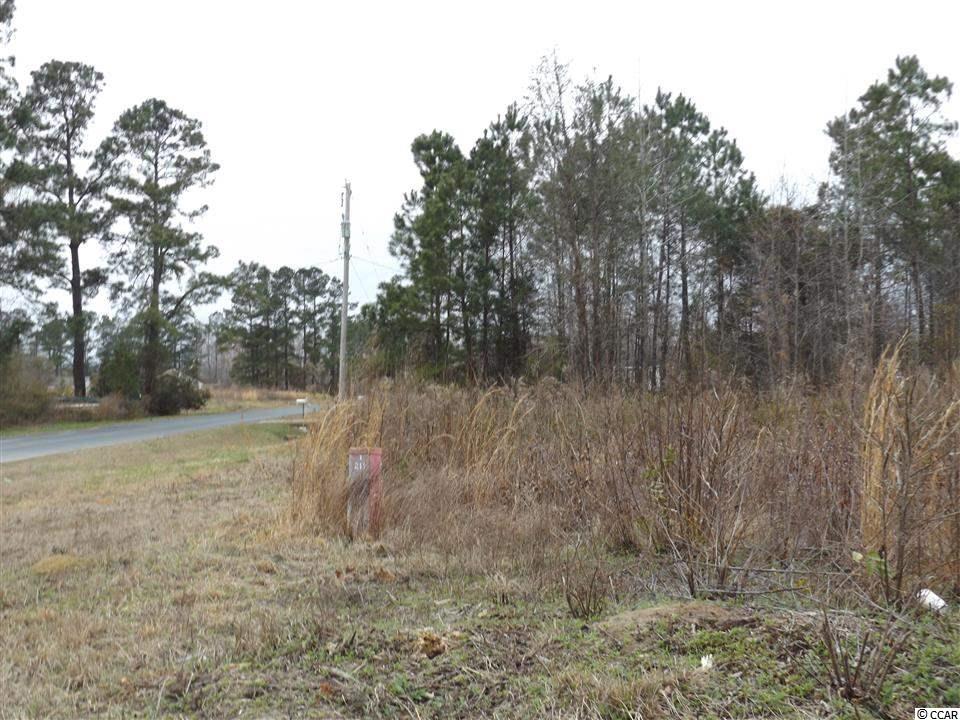 Tbd Kerl Road Conway, SC 29526 - Photo 12 of 14 Gallery Image 12