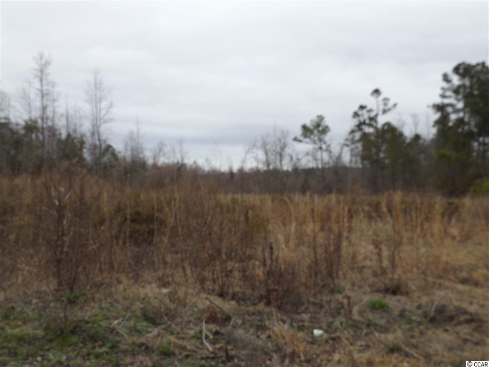 Tbd Kerl Road Conway, SC 29526 - Photo 13 of 14 Gallery Image 13