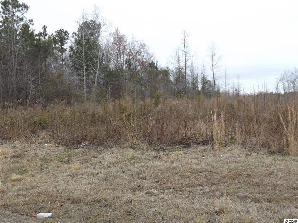 Tbd Kerl Road Conway, SC 29526 - Photo 14 of 14 Gallery Image 14