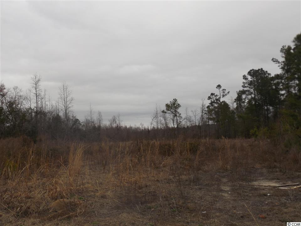 Tbd Kerl Road Conway, SC 29526 - Photo 3 of 14 Gallery Image 3