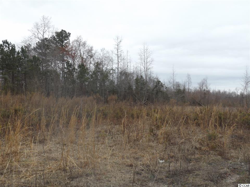 Tbd Kerl Road Conway, SC 29526 - Photo 4 of 14 Gallery Image 4