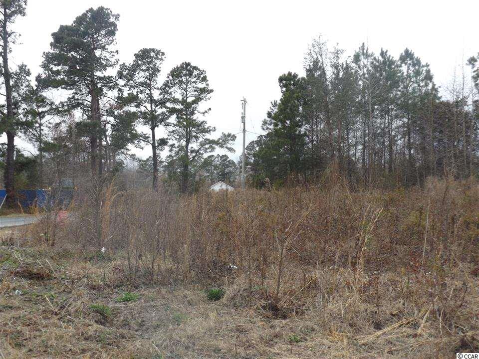 Tbd Kerl Road Conway, SC 29526 - Photo 5 of 14 Gallery Image 5