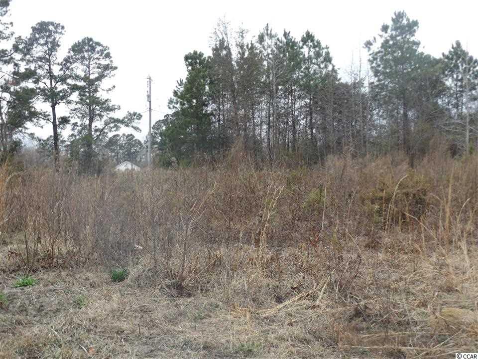 Tbd Kerl Road Conway, SC 29526 - Photo 6 of 14 Gallery Image 6