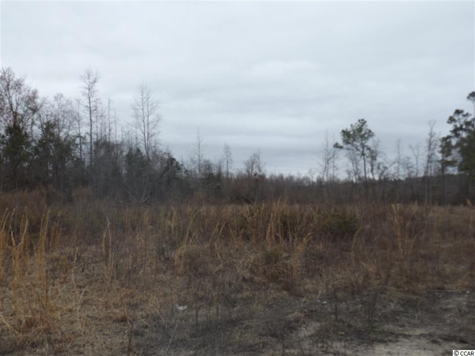 Tbd Kerl Road Conway, SC 29526 - Photo 7 of 14 Gallery Image 7