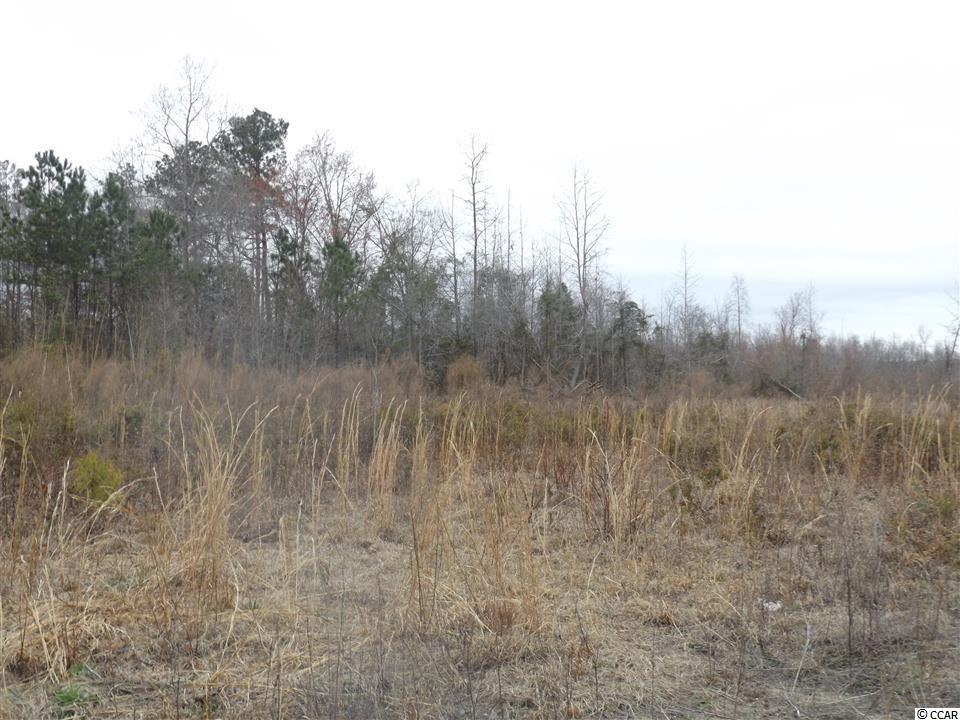 Tbd Kerl Road Conway, SC 29526 - Photo 8 of 14 Gallery Image 8
