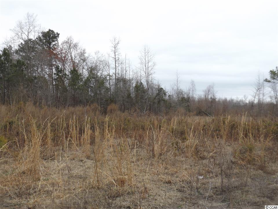 Tbd Kerl Road Conway, SC 29526 - Photo 10 of 14 Gallery Image 10