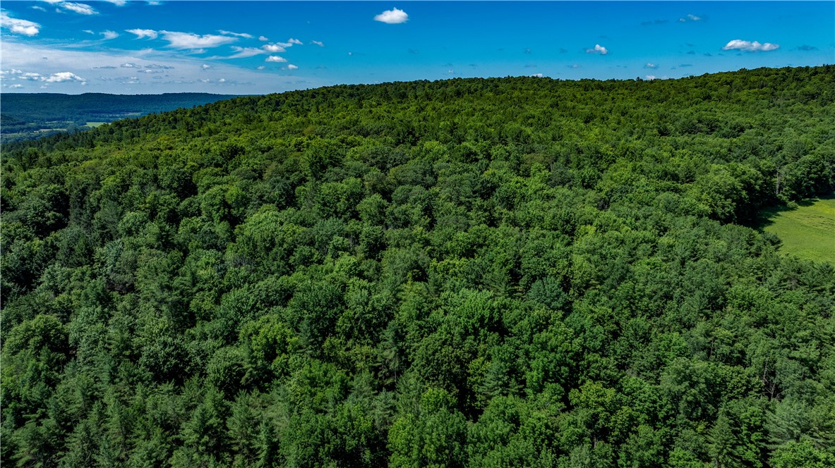 Lower Ravine Road Norwich, NY 13815 - Photo 2 of 23