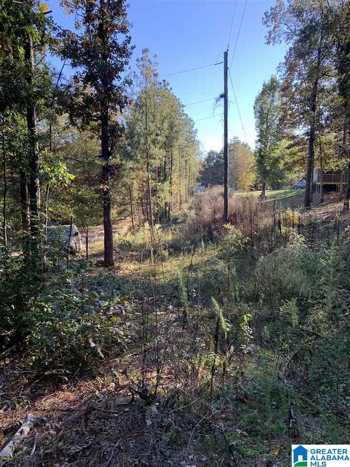 2555 Evergreen Road, Unit 1 Springville, AL 35146 - Photo 5 of 6