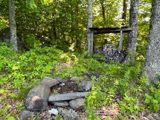 0 Chelsea Mountain Road Randolph Center, VT 05061 - Photo 23 of 26