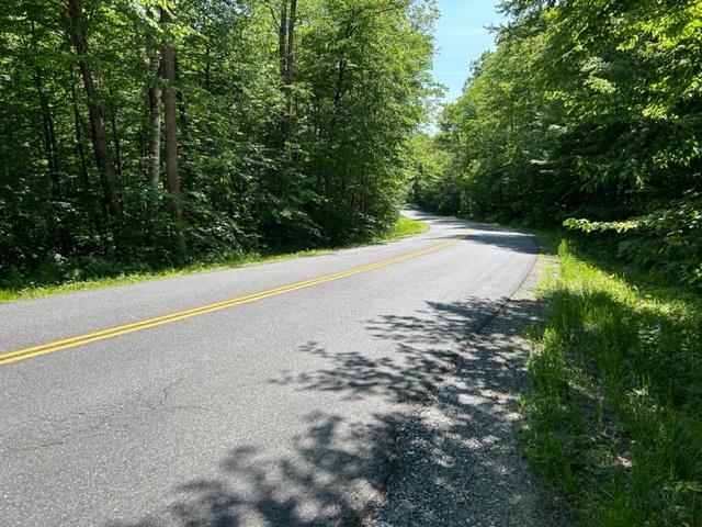 0 Chelsea Mountain Road Randolph Center, VT 05061 - Photo 24 of 26