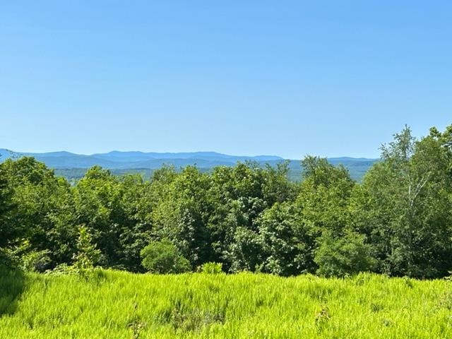 0 Chelsea Mountain Road Randolph Center, VT 05061 - Photo 3 of 26