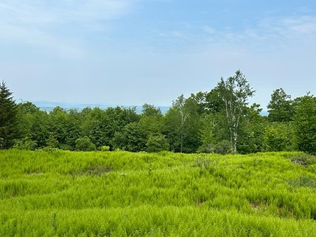 0 Chelsea Mountain Road Randolph Center, VT 05061 - Photo 4 of 26