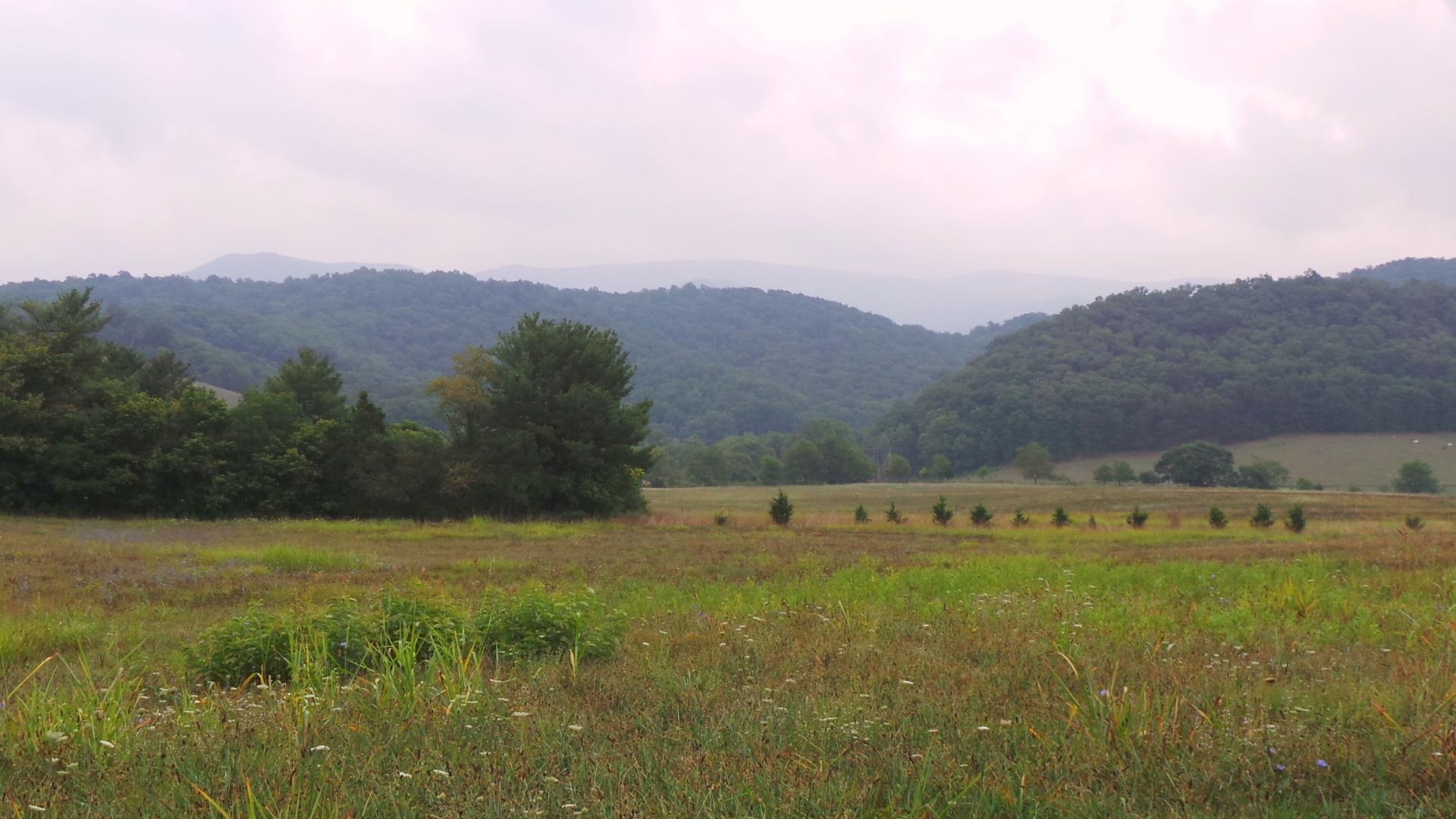 8659 Roanoke Road Elliston, VA 24087 - Photo 31 of 32 a view of an outdoor space and mountain view