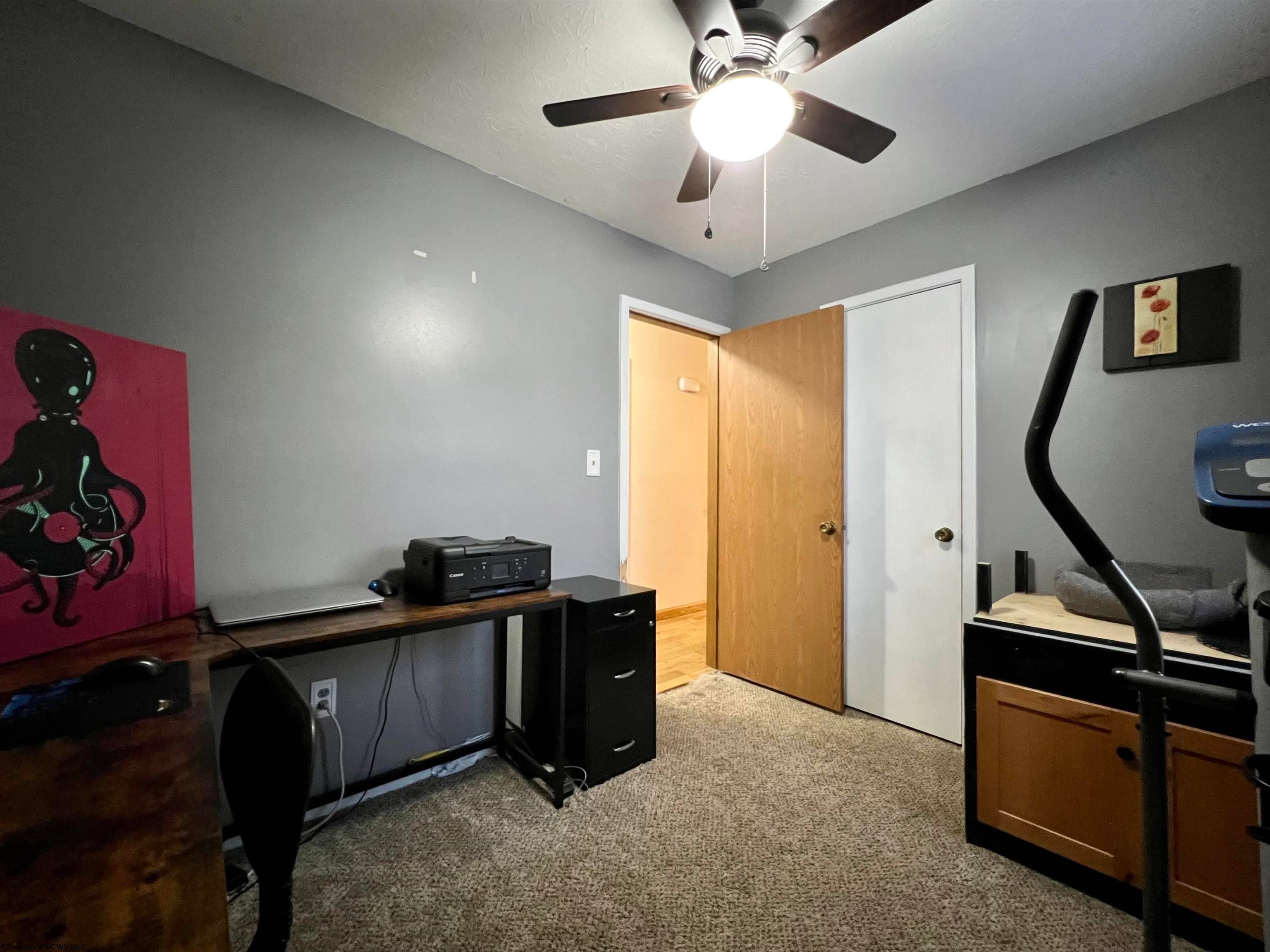 431 Pecks Run Road Buckhannon, WV 26201 - Photo 7 of 19 Gallery Image 7