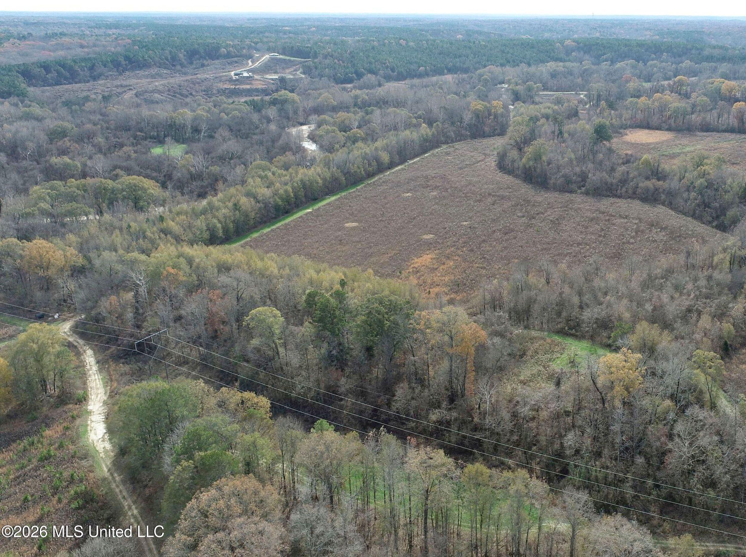 Chinqupin Road Lexington, MS 39095 - Photo 66 of 210 5chqpn52