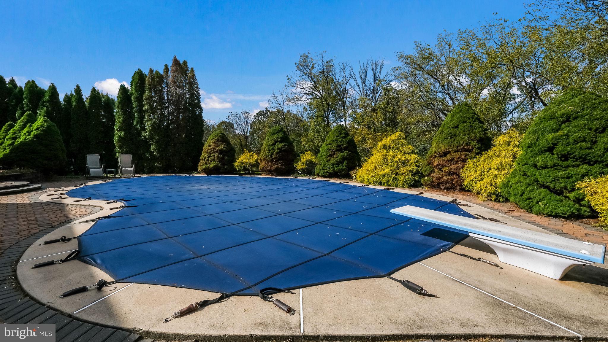 1608 Clearbrook Road Lansdale, PA 19446 - Photo 51 of 52 Pool with Diving Board
