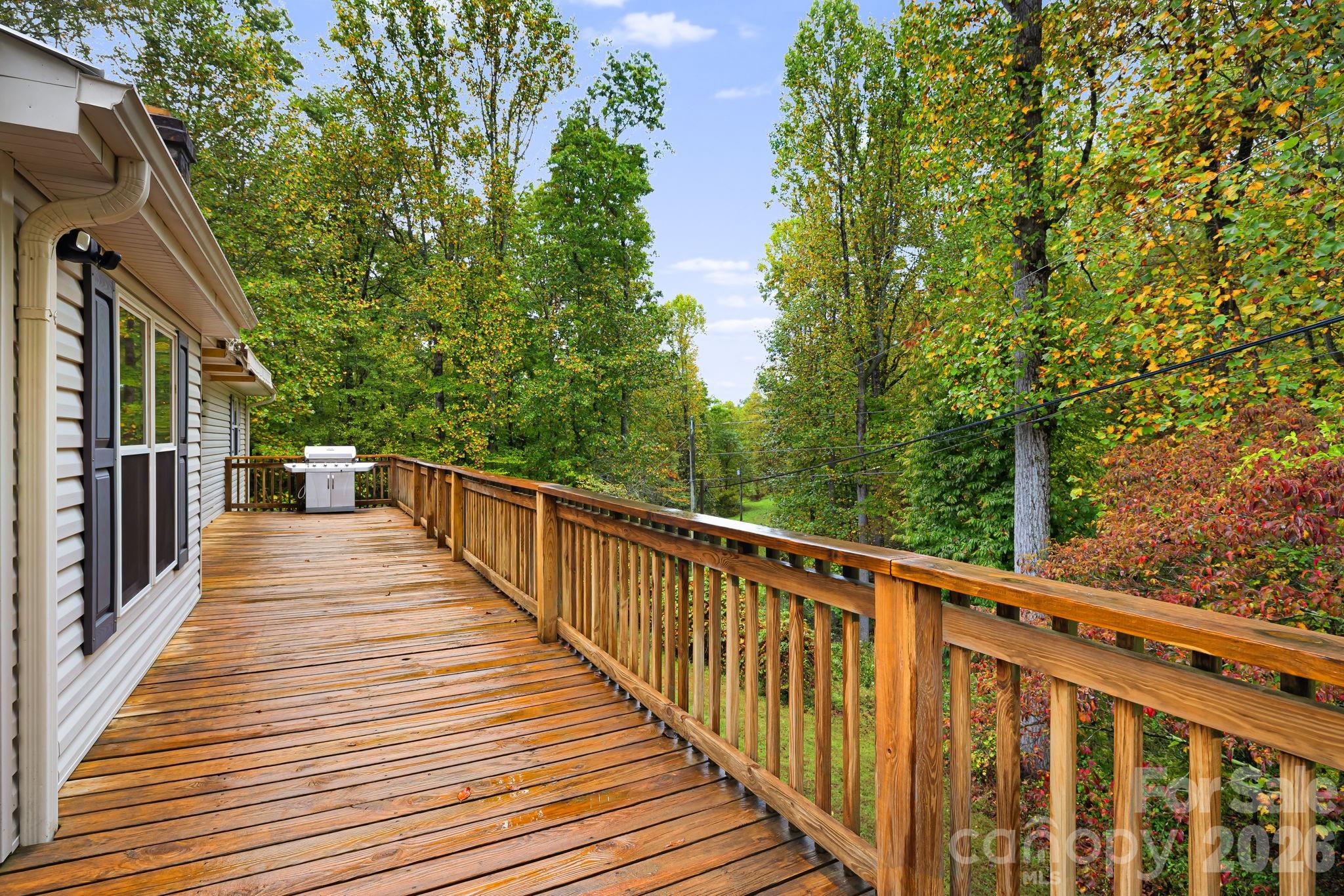 1007 Dula Road Spruce Pine, NC 28777 - Photo 34 of 44