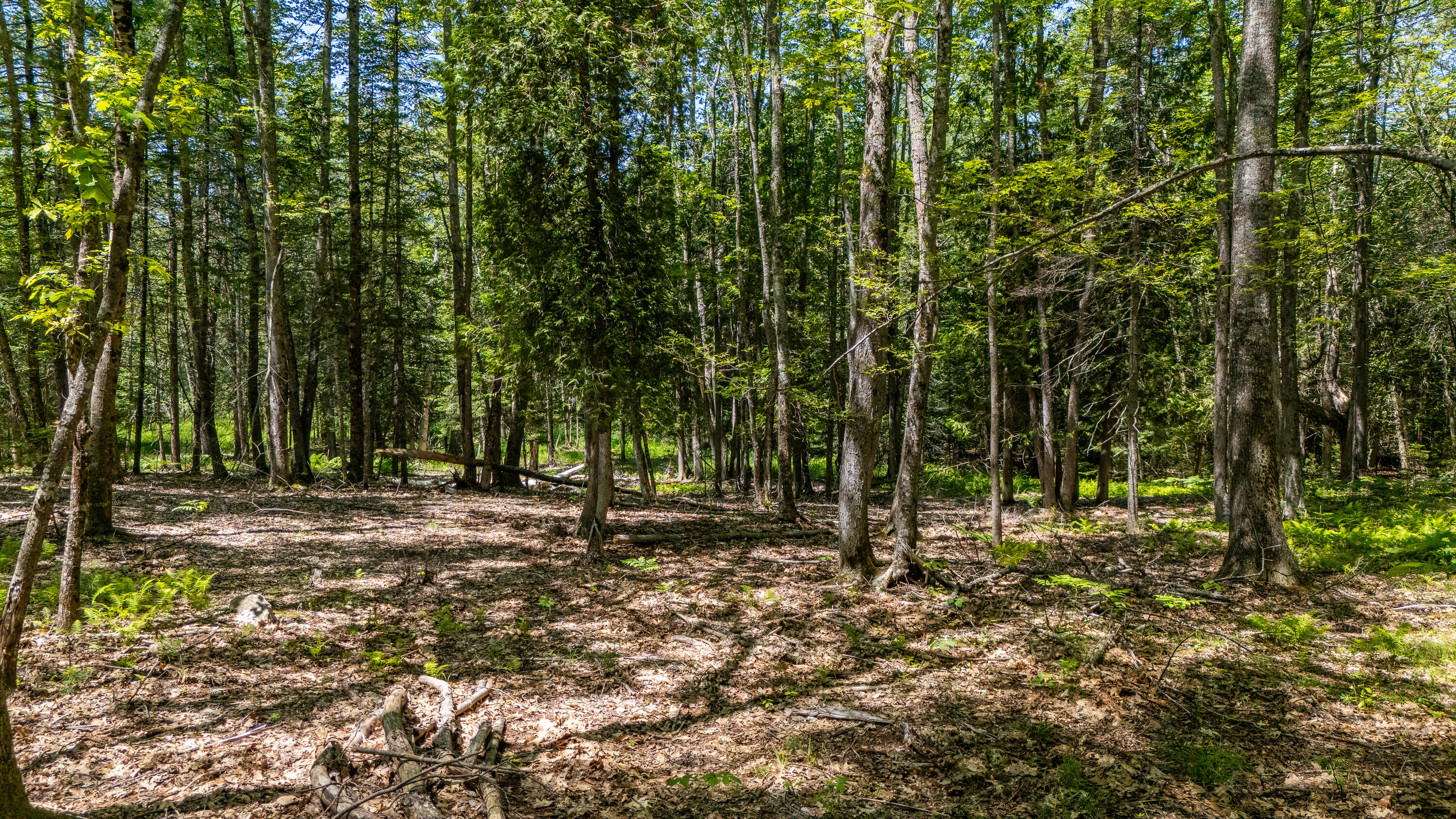 Lot 1 River Road Woolwich, ME 04579 - Photo 16 of 18 Lot 1 River Road 019