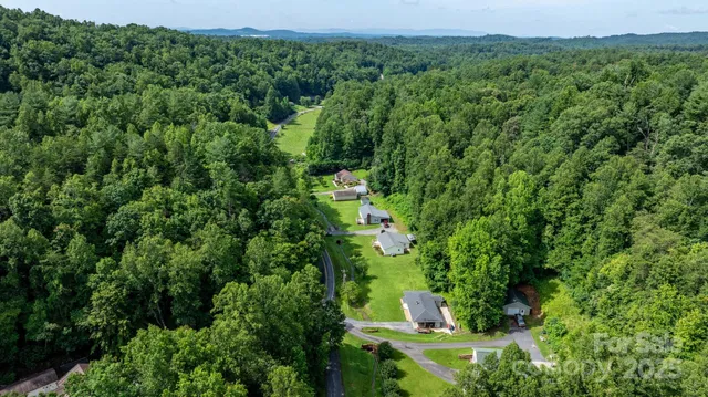 a view of a forest with a street