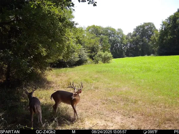 $900,000 | 1281 Farm To Market Road 138, Garrison, TX 75946