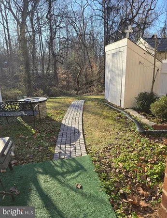 a view of a backyard with large tree