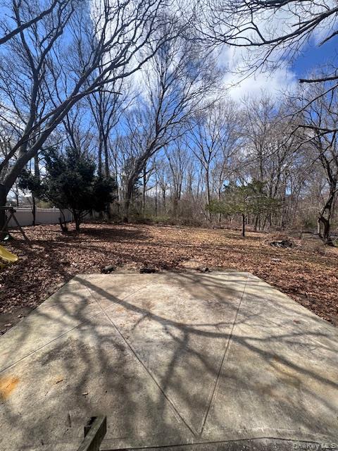 1134 Stony Brook Road Lake Grove, NY 11755 - Photo 18 of 18 a view of dirt yard with large trees