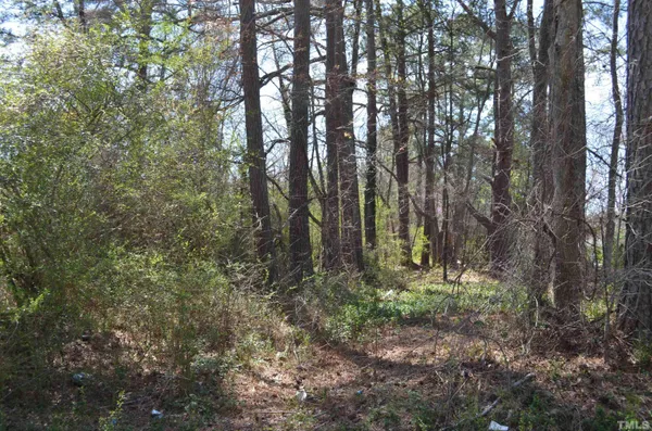 a backyard of a house with lots of plants and trees