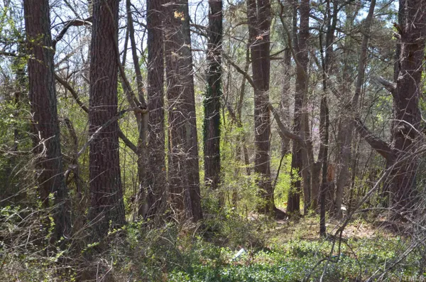 a view of outdoor space and tree