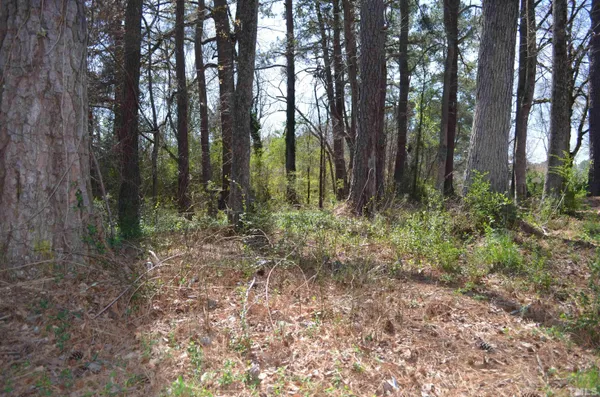 $23,000 | 706 Hill Street, Siler City, NC 27344