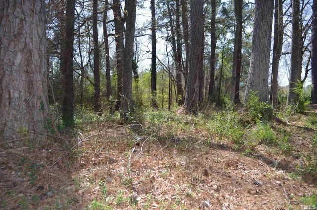 $23,000 | 706 Hill Street, Siler City, NC 27344