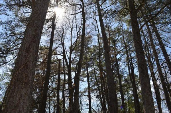 $23,000 | 706 Hill Street, Siler City, NC 27344