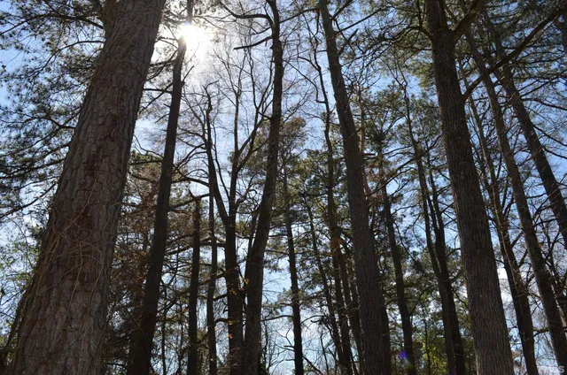 $23,000 | 706 Hill Street, Siler City, NC 27344