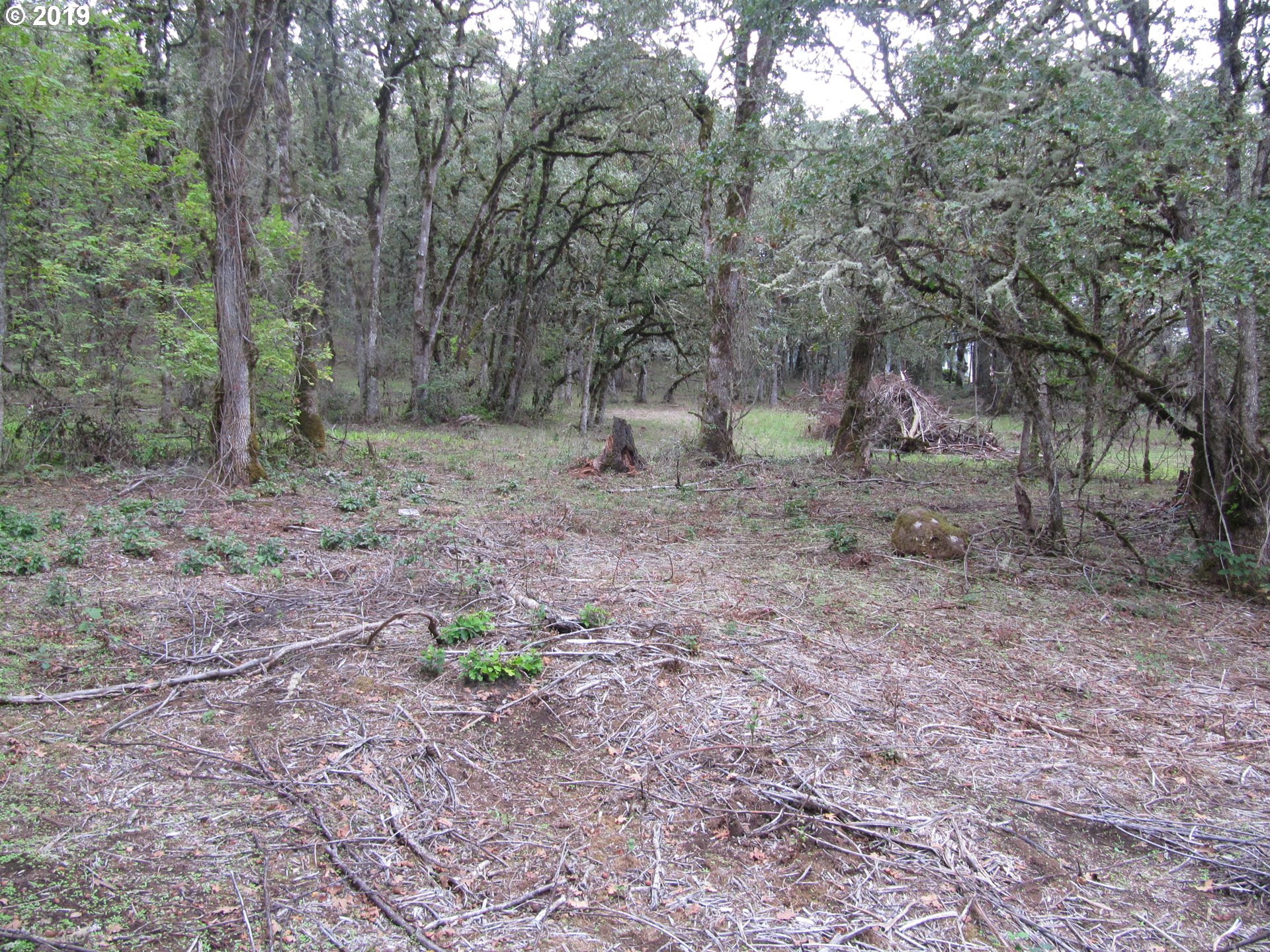 Southwest Hoffman Road, Unit 2900 West Linn, OR 97068 - Photo 12 of 16 Gallery Image 12