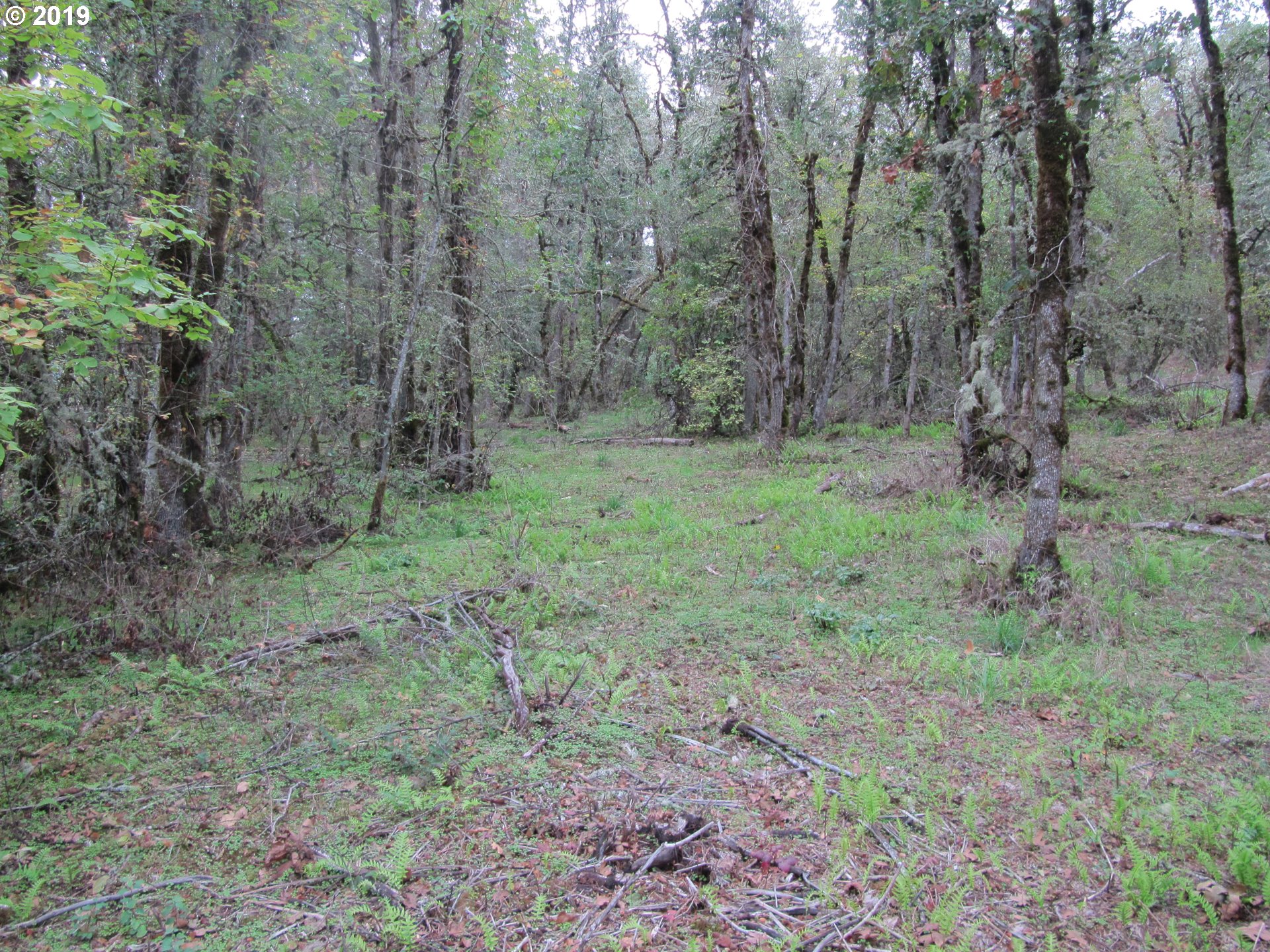 Southwest Hoffman Road, Unit 2900 West Linn, OR 97068 - Photo 13 of 16 Gallery Image 13
