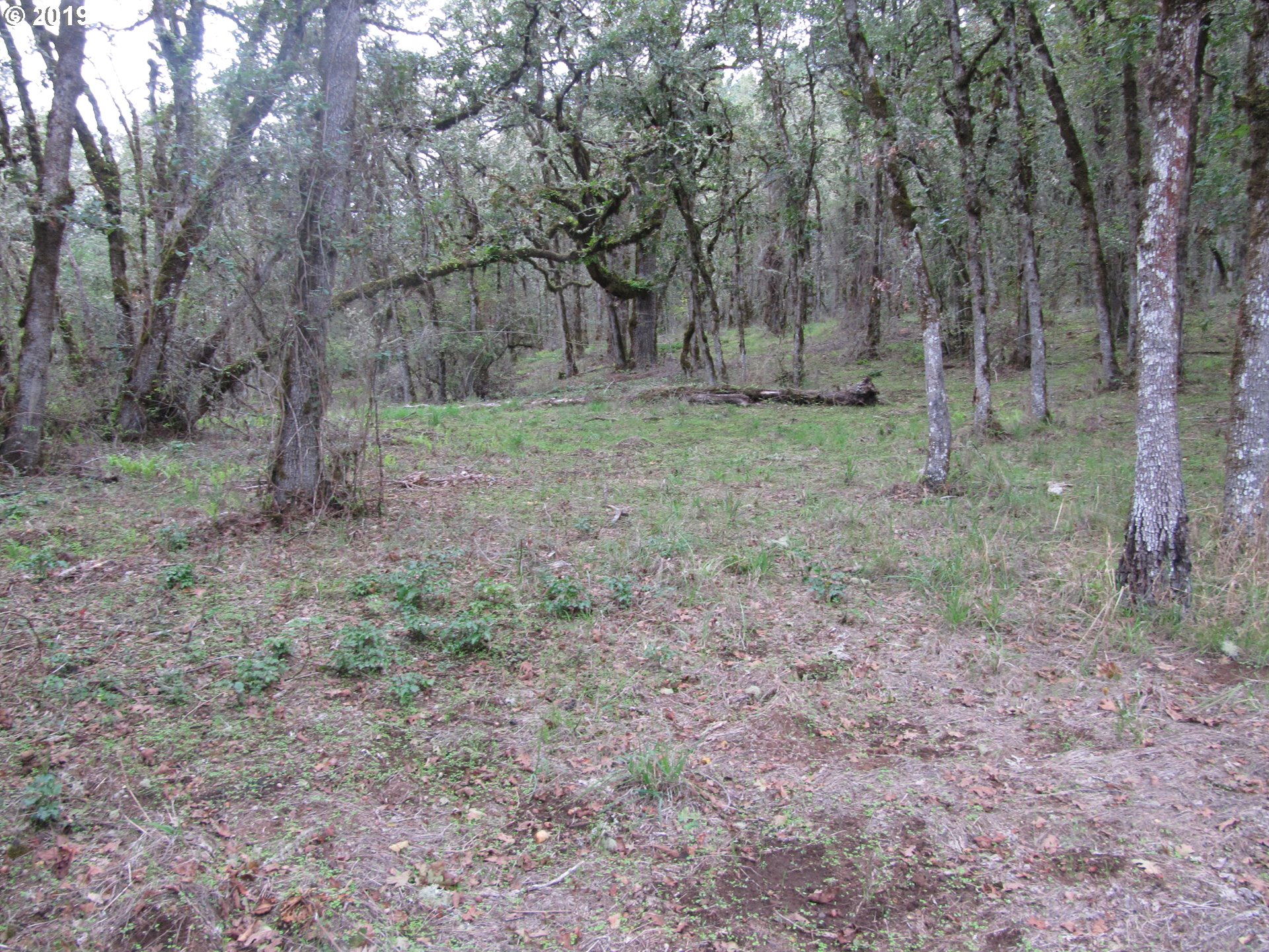 Southwest Hoffman Road, Unit 2900 West Linn, OR 97068 - Photo 14 of 16 Gallery Image 14