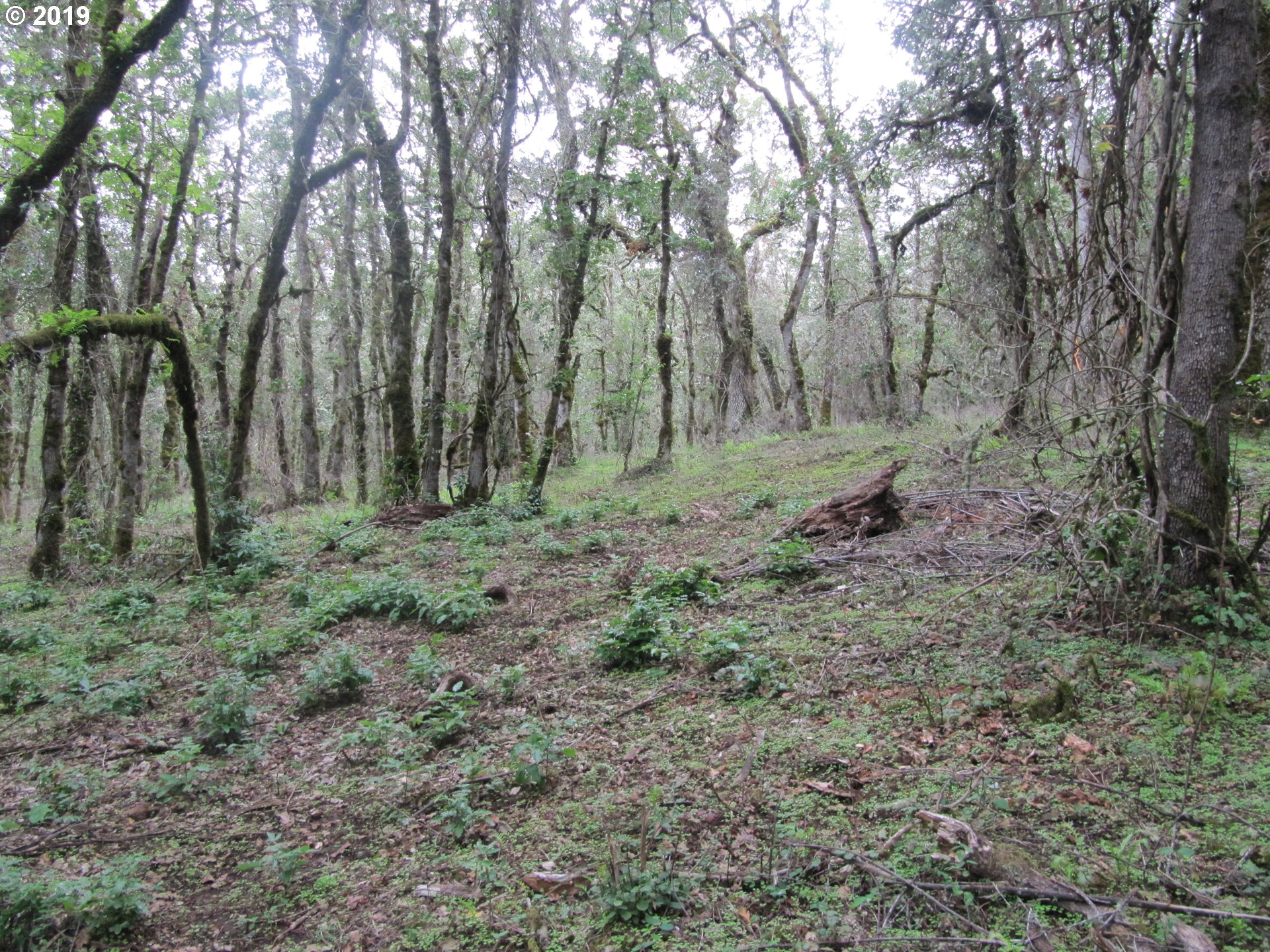 Southwest Hoffman Road, Unit 2900 West Linn, OR 97068 - Photo 15 of 16 Gallery Image 15