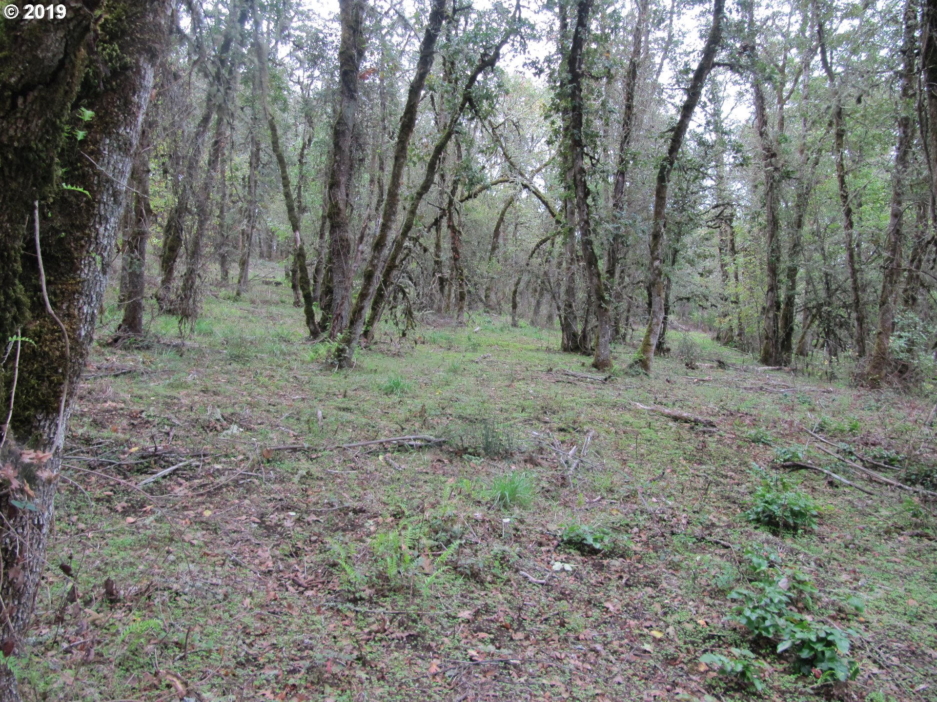 Southwest Hoffman Road, Unit 2900 West Linn, OR 97068 - Photo 16 of 16 Gallery Image 16