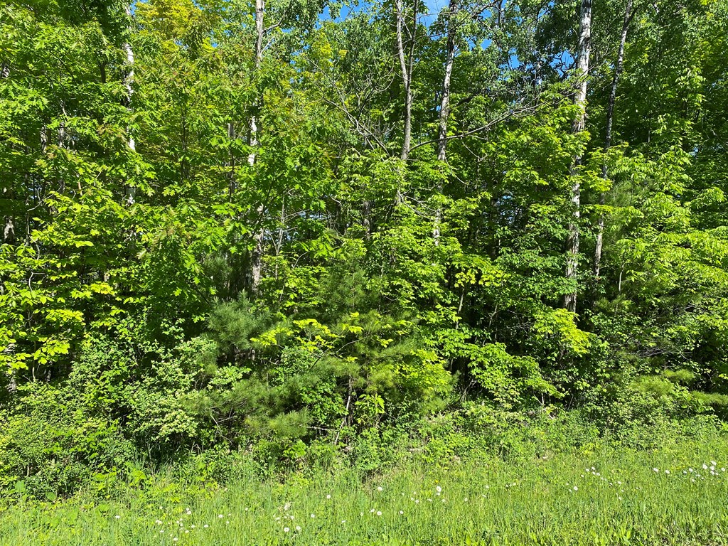 Lot 1 Reynolds Road Sturgeon Bay, WI 54235 - Photo 2 of 2