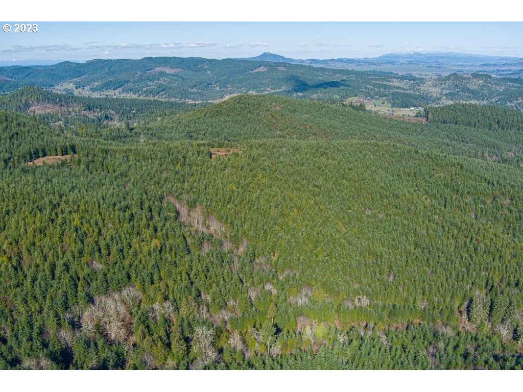0 Turkey Run Road Creswell, OR 97426 - Photo 1 of 21 a view of a lush green hillside and a houses
